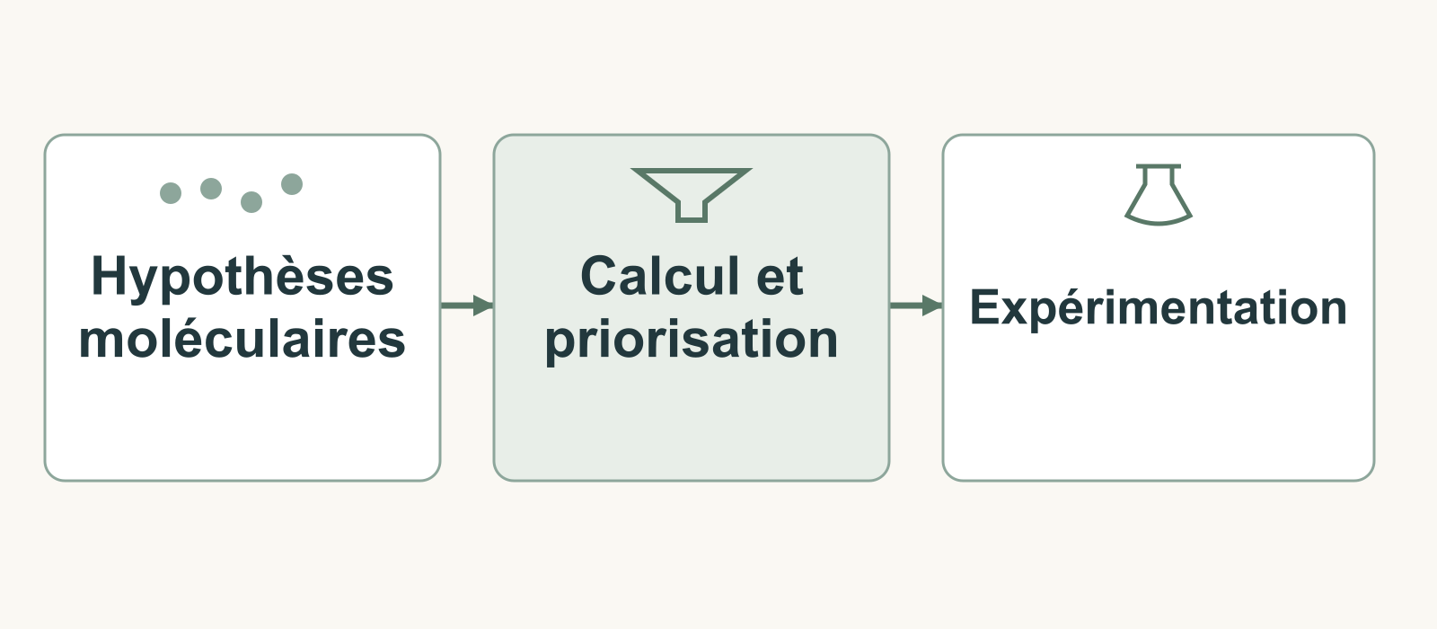 Schéma du passage d’hypothèses moléculaires au calcul puis à l’expérimentation.