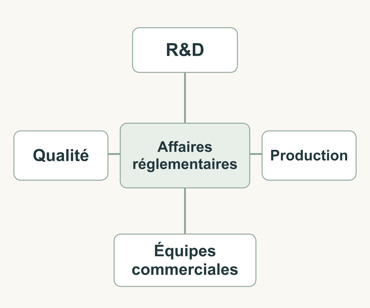 Schéma des échanges entre affaires réglementaires, R&D, qualité, production et équipes commerciales.