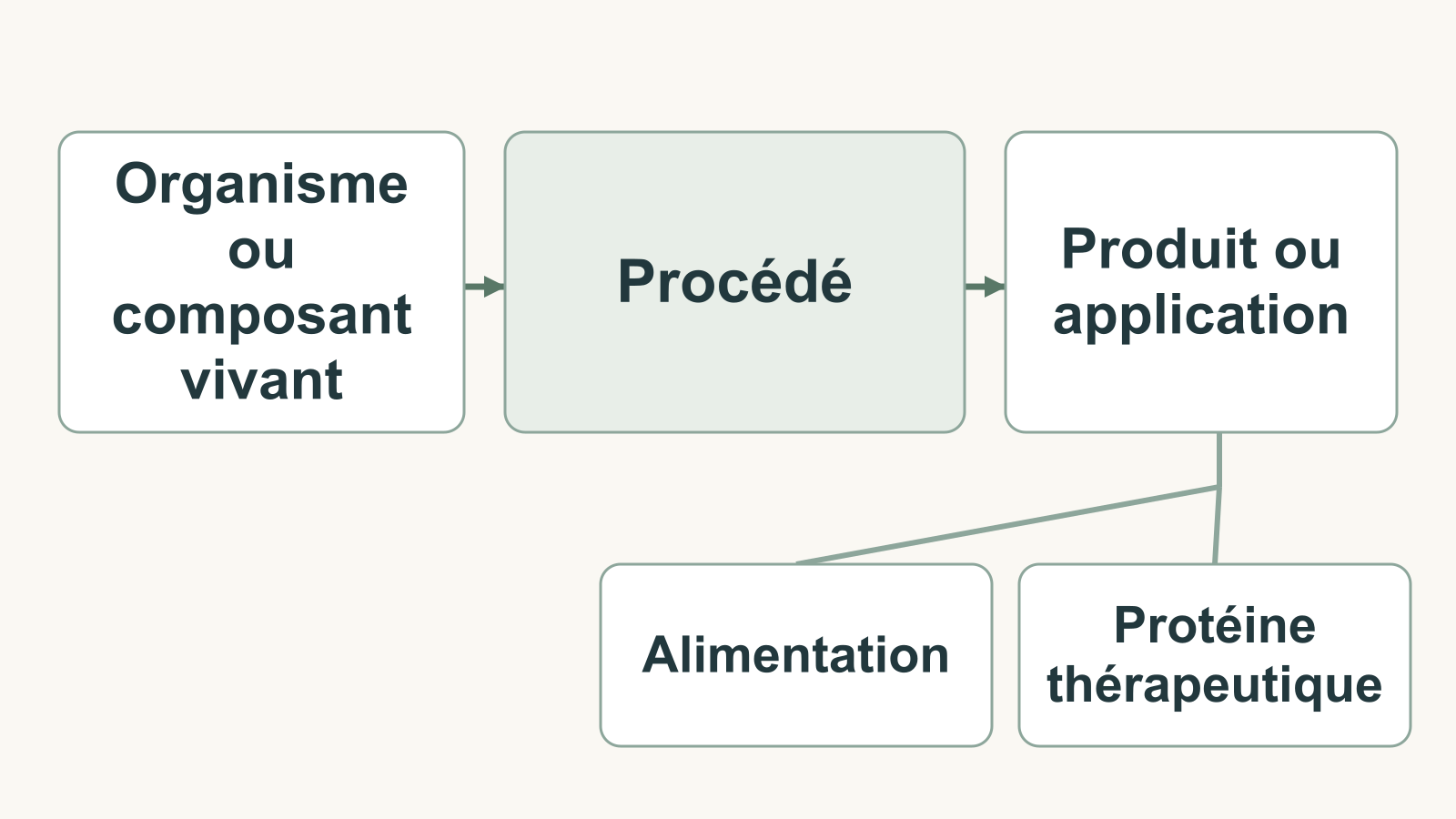 Schéma reliant un organisme ou composant vivant, un procédé et des produits ou applications.